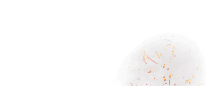 Fire Effect