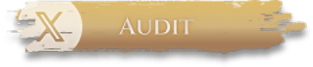 Audit